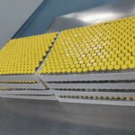 99% Purity Sema 5mg 10mg vial for weight loss